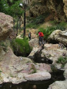 Pic 9: Michael Bogan and Scott Benentt traverse the network of small pools that collect in Cañón La Navaja.