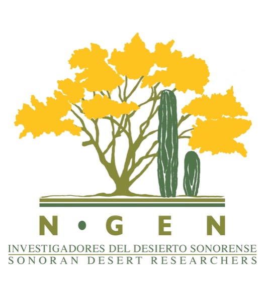 N-GEN LOGO_full