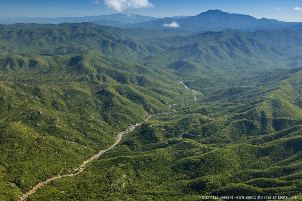 Arroyo La Junta – Una joya de biodiversidad en la Reserva de la