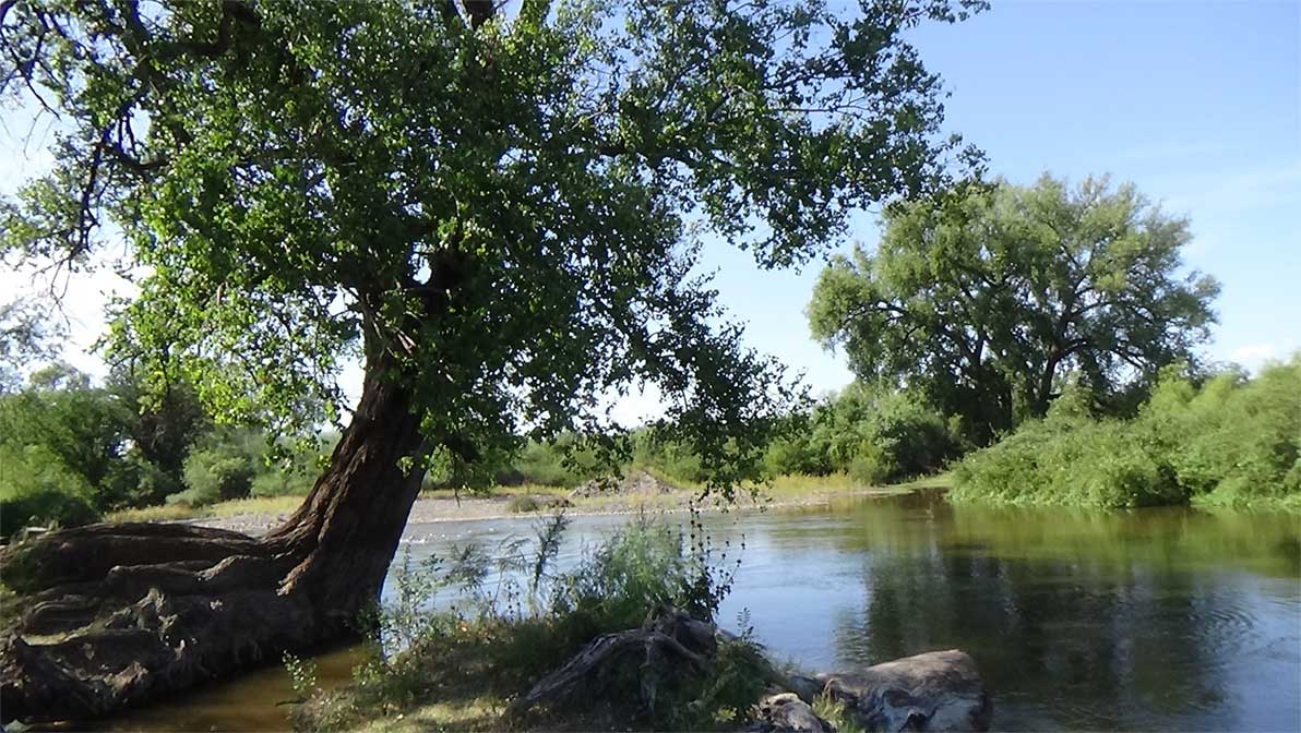 Recorrido Por Oasis Del Desierto Sonorense Paisajes De Verdor Y Abundante Agua Usada Para La Agricultura En Riesgo De Deterioro N Gen