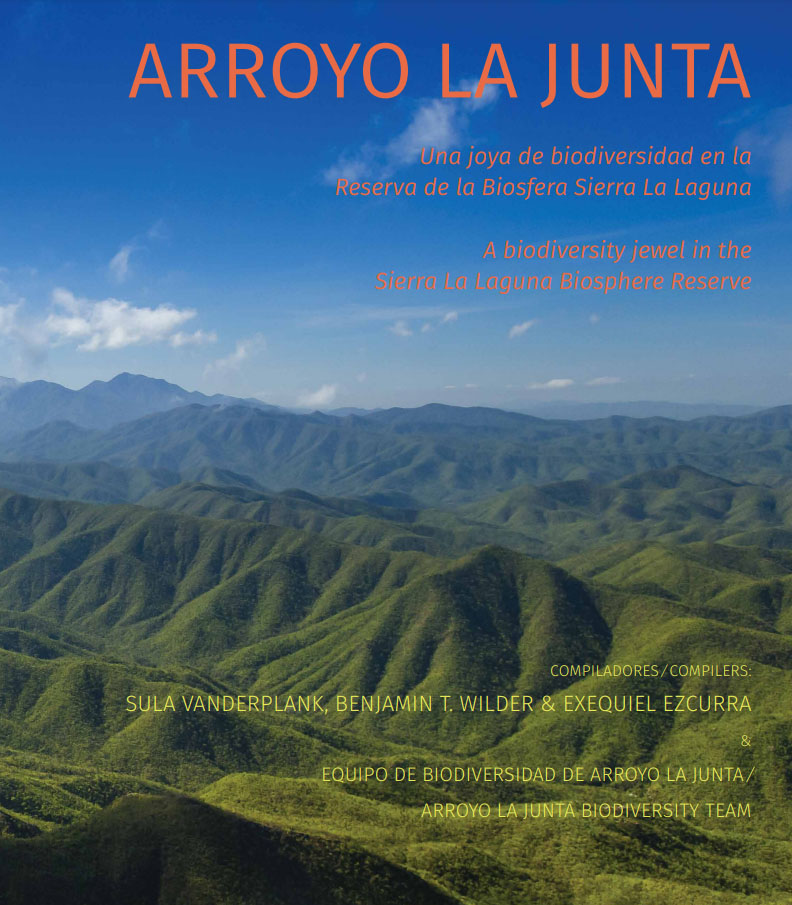 Arroyo la Junta Cover