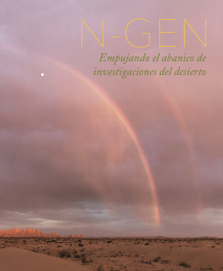N-Gen Informe